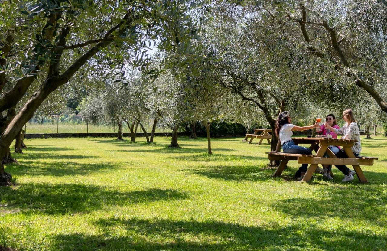 Agriturismo Ca Del Lago Gravedona Exterior foto